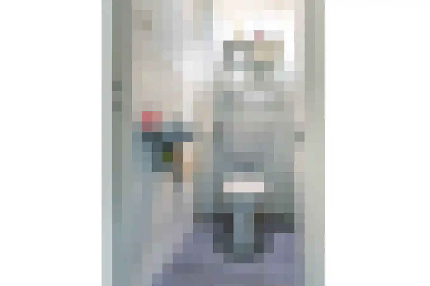 Dr Augustijnlaan 119 Rijswijk thumbnail 23