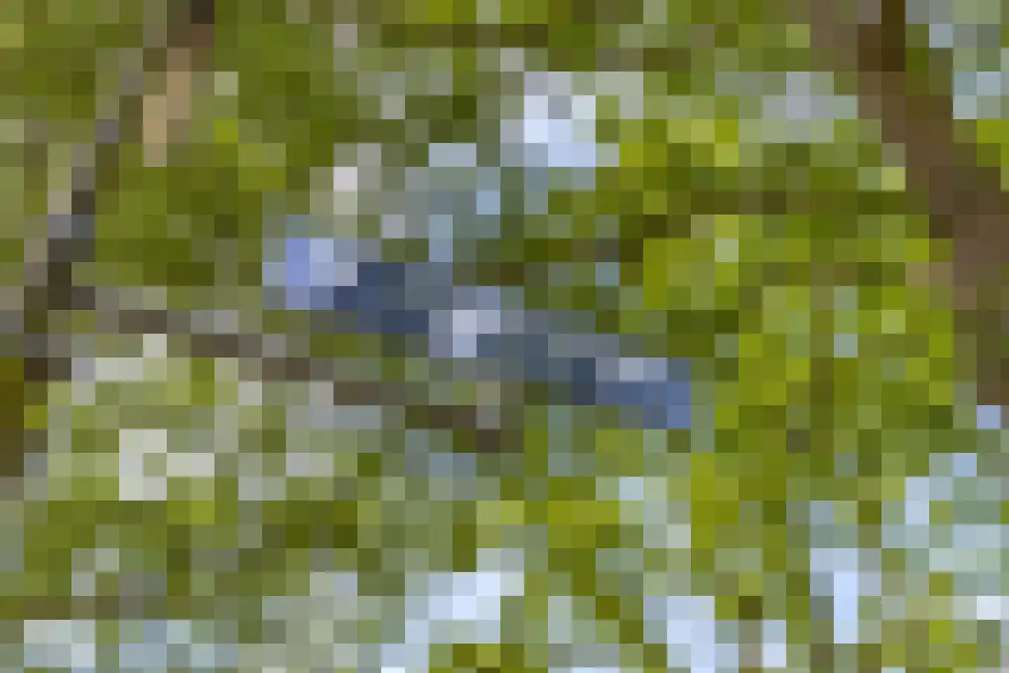 Dr Augustijnlaan 119 Rijswijk thumbnail 36