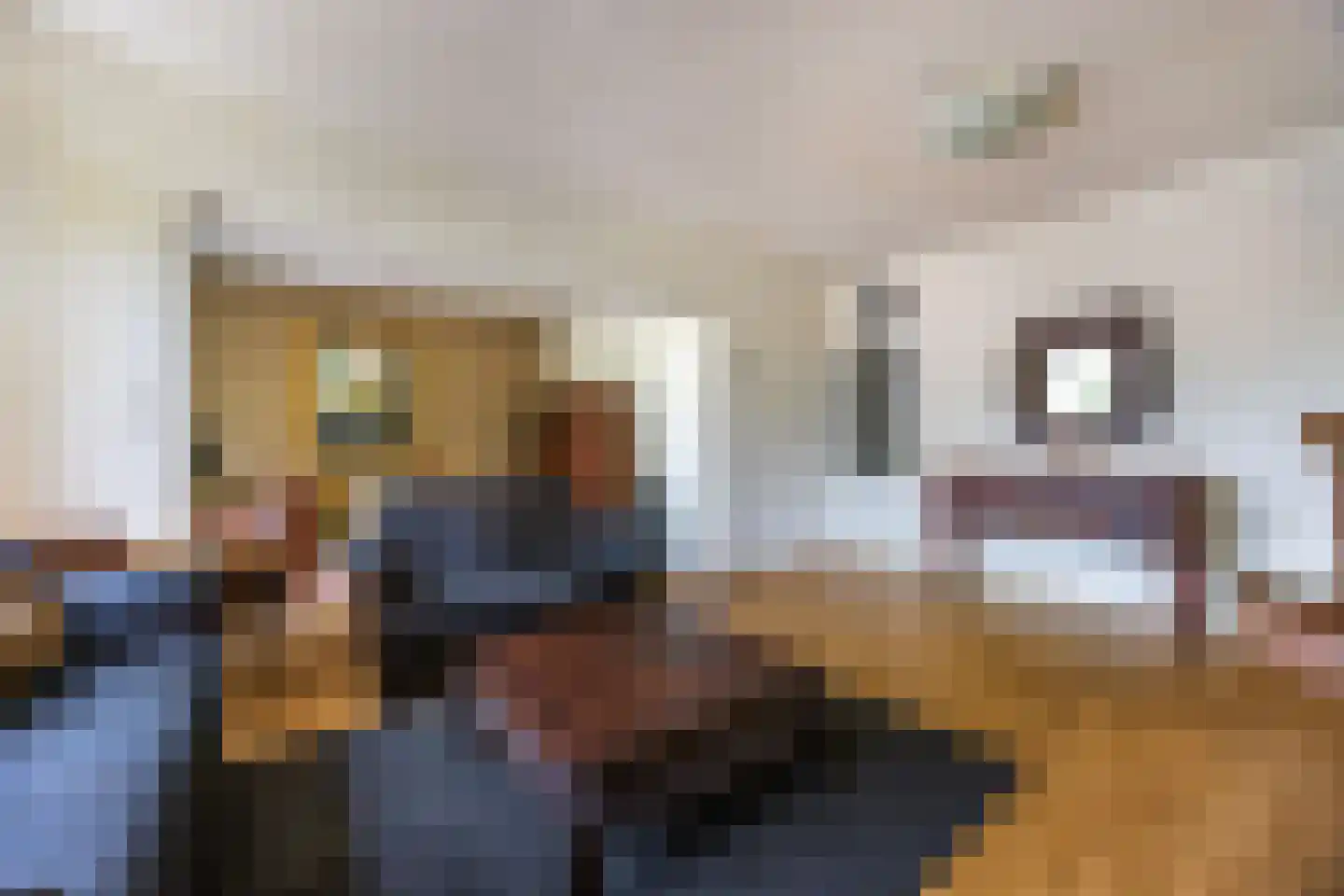 Dr Augustijnlaan 119 Rijswijk thumbnail 5