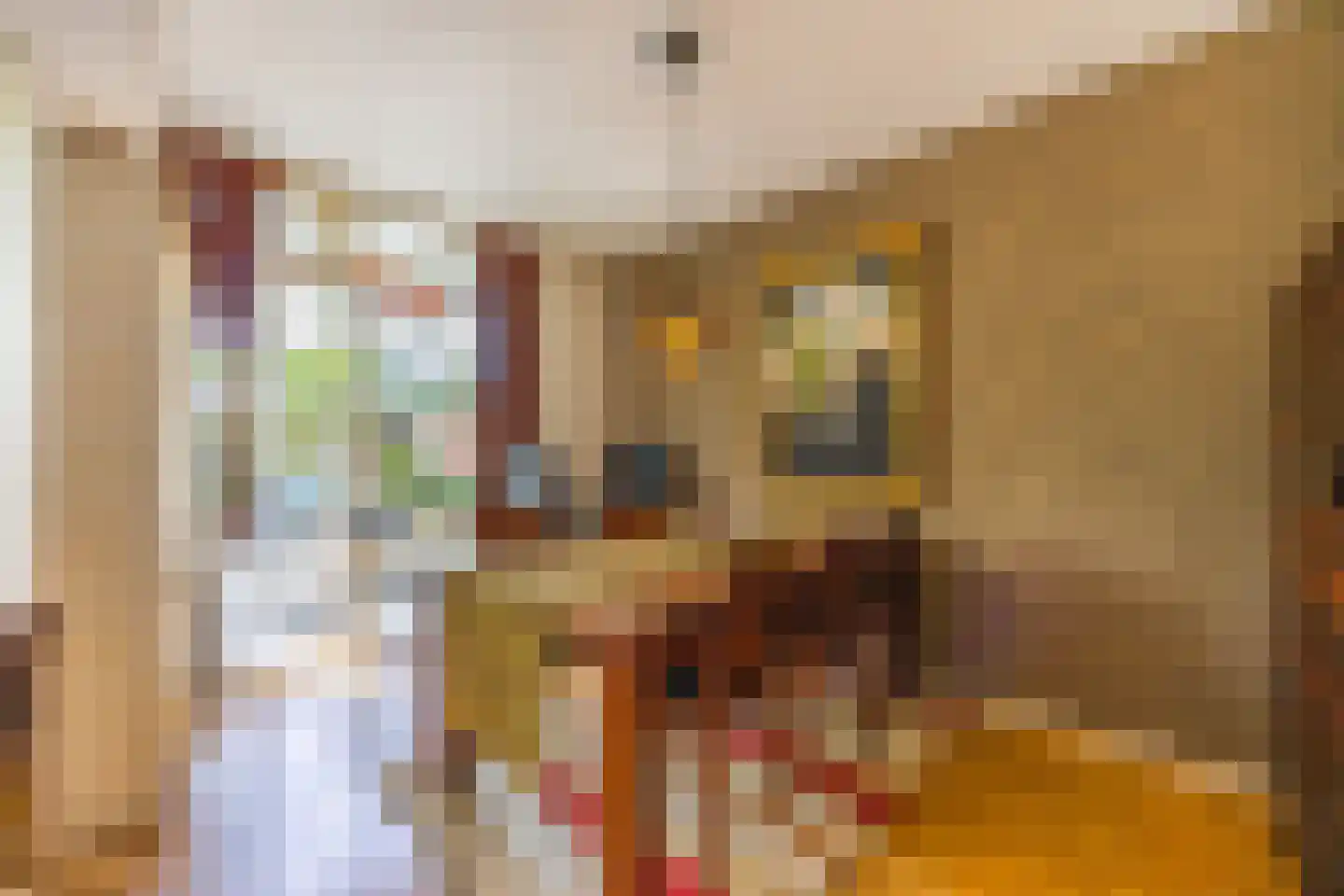 Dr Augustijnlaan 119 Rijswijk thumbnail 6