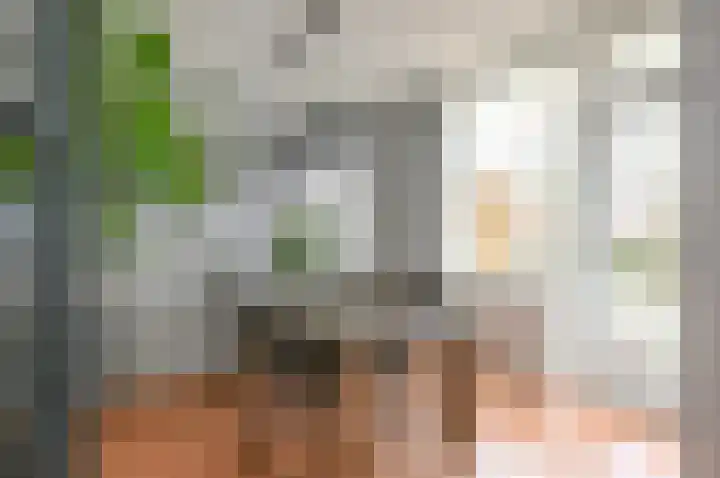 Dr Augustijnlaan 121 Rijswijk thumbnail 16