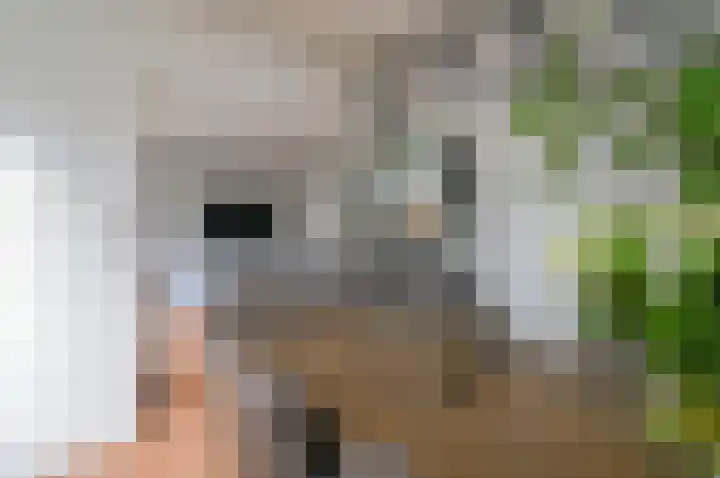 Dr Augustijnlaan 121 Rijswijk thumbnail 17