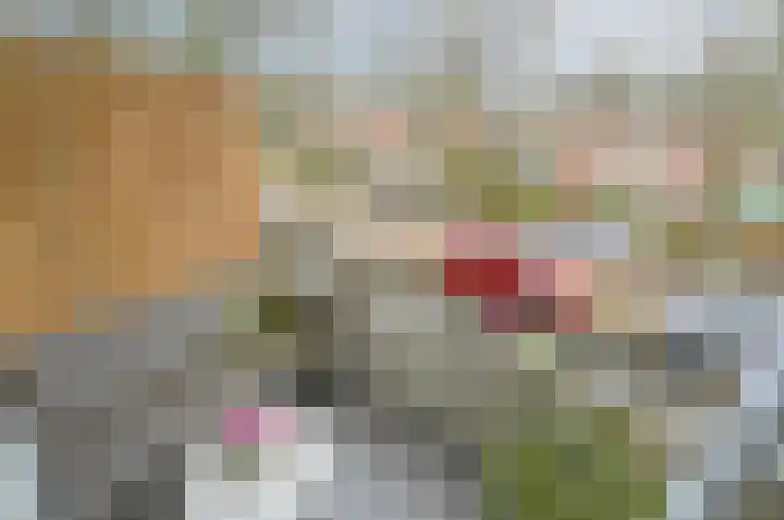 Dr Augustijnlaan 121 Rijswijk thumbnail 19