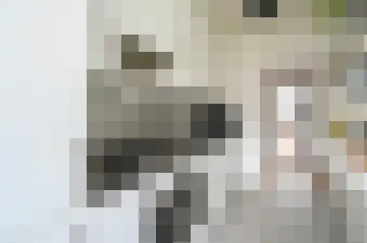 Dr Augustijnlaan 121 Rijswijk thumbnail 23
