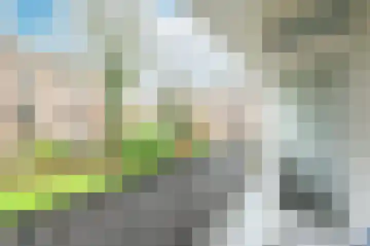 Dr Augustijnlaan 121 Rijswijk thumbnail 25