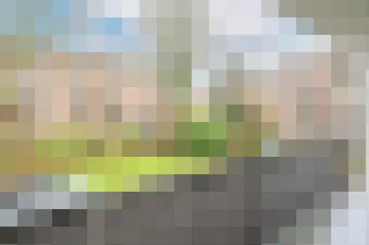 Dr Augustijnlaan 121 Rijswijk thumbnail 26