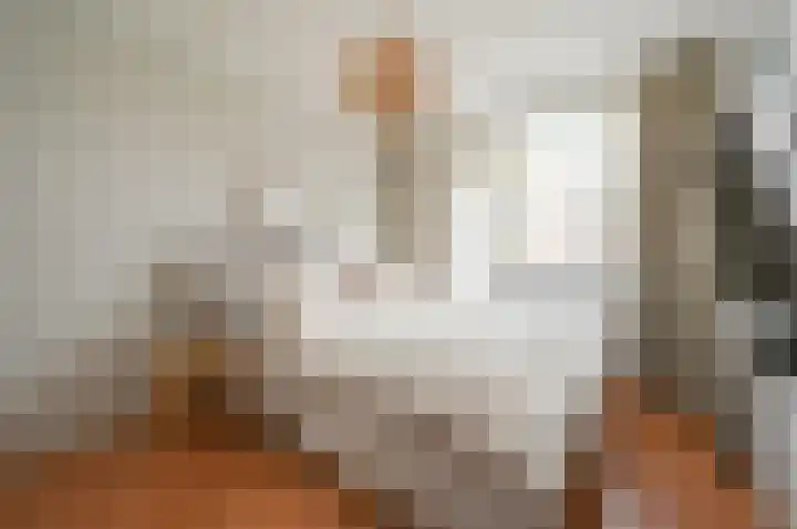 Dr Augustijnlaan 121 Rijswijk thumbnail 27