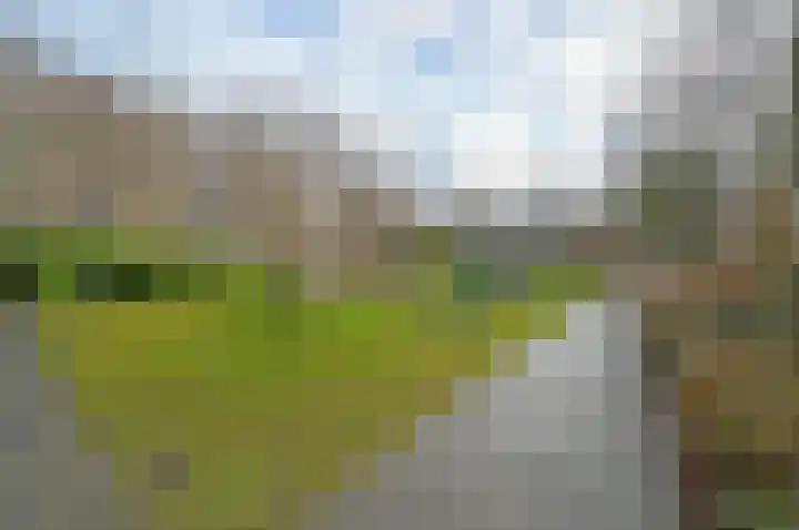 Dr Augustijnlaan 121 Rijswijk thumbnail 37