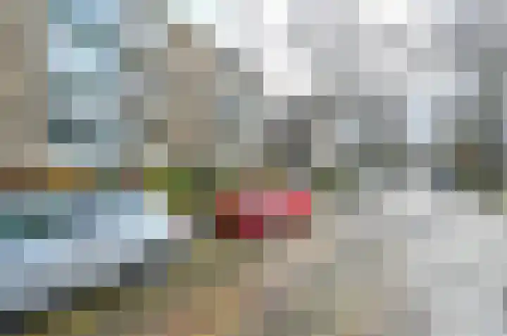 Dr Augustijnlaan 121 Rijswijk thumbnail 41