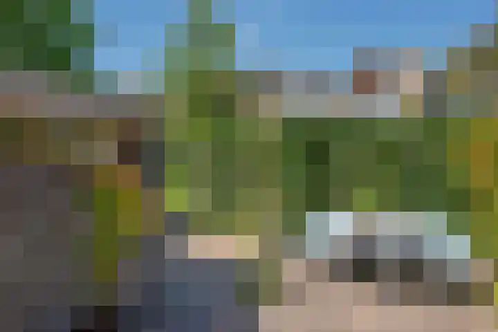 Dr Augustijnlaan 25 Rijswijk thumbnail 17
