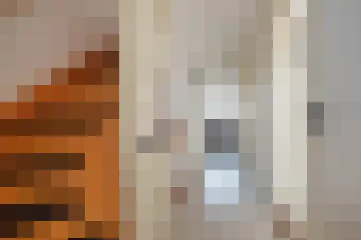 Dr Augustijnlaan 25 Rijswijk thumbnail 22