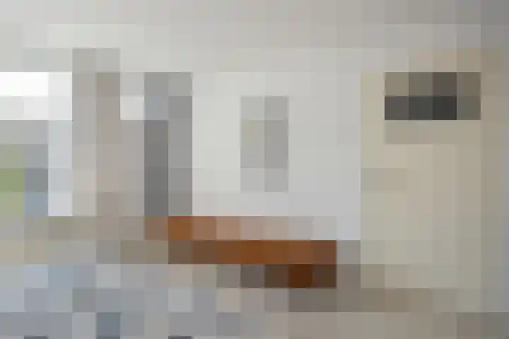 Dr Augustijnlaan 25 Rijswijk thumbnail 24