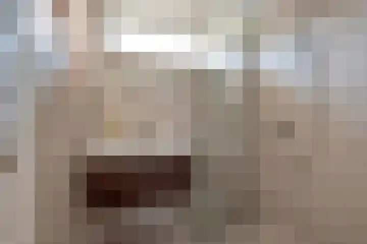 Dr Augustijnlaan 25 Rijswijk thumbnail 27