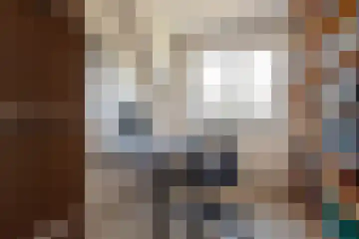 Dr Augustijnlaan 25 Rijswijk thumbnail 28