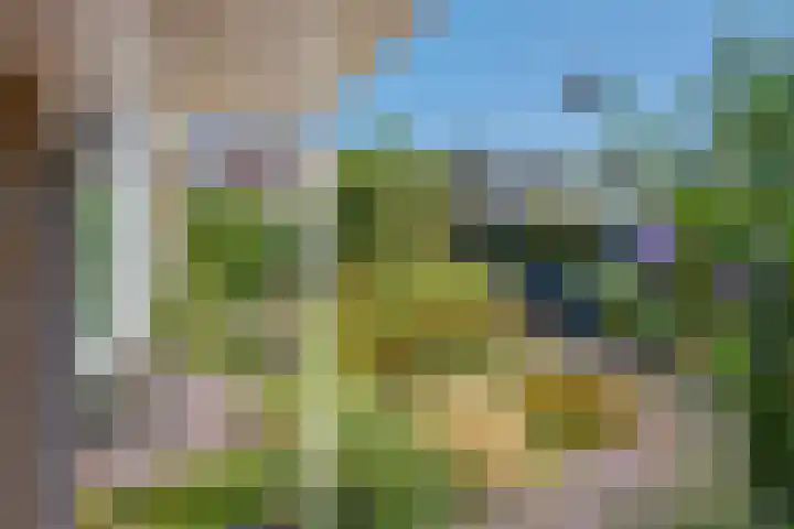Dr Augustijnlaan 25 Rijswijk thumbnail 36