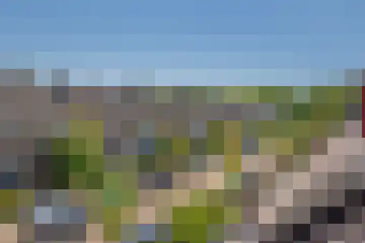 Dr Augustijnlaan 25 Rijswijk thumbnail 40