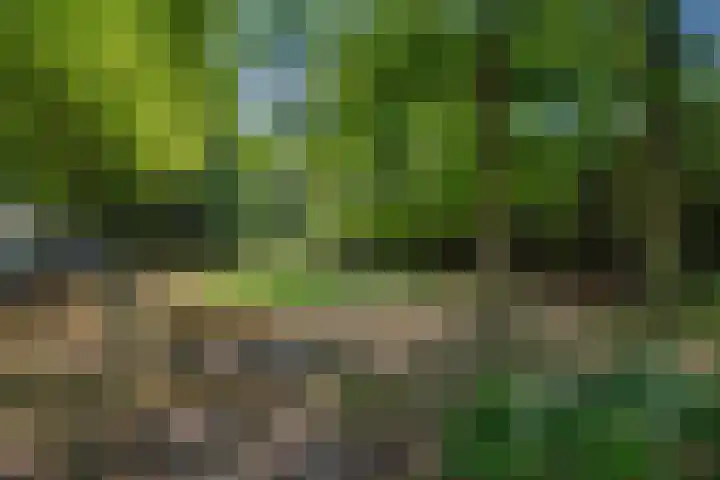 Dr Augustijnlaan 25 Rijswijk thumbnail 41