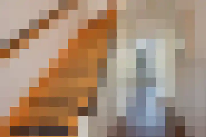 Dr Augustijnlaan 25 Rijswijk thumbnail 6