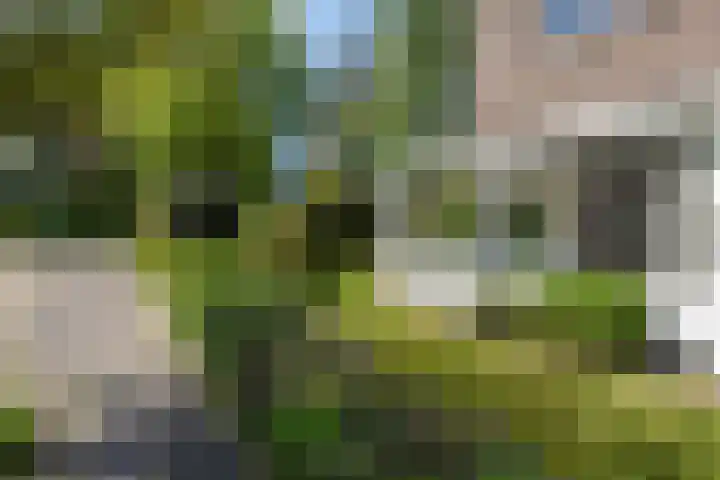 Dr Augustijnlaan 3 Rijswijk thumbnail 10