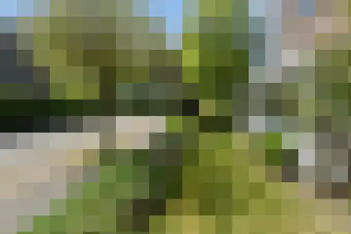 Dr Augustijnlaan 3 Rijswijk thumbnail 11