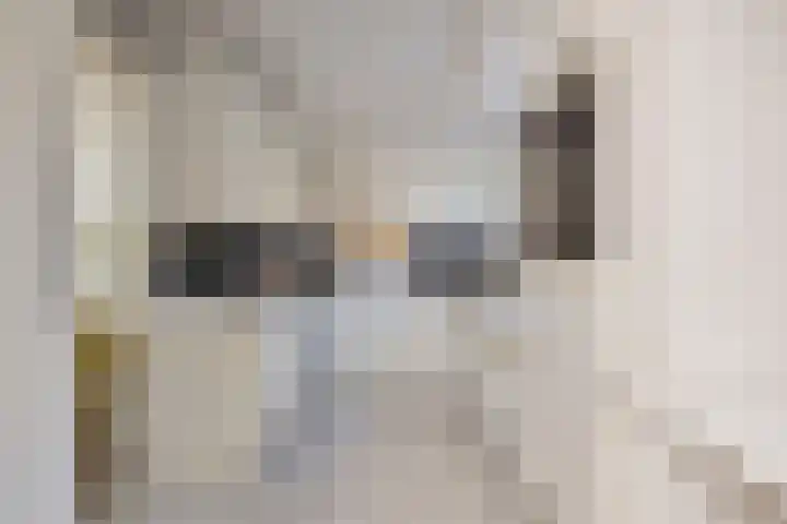 Dr Augustijnlaan 3 Rijswijk thumbnail 25