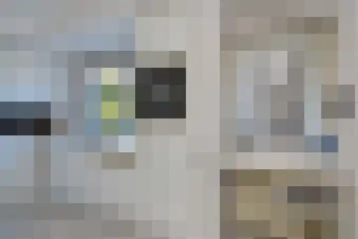 Dr Augustijnlaan 3 Rijswijk thumbnail 26