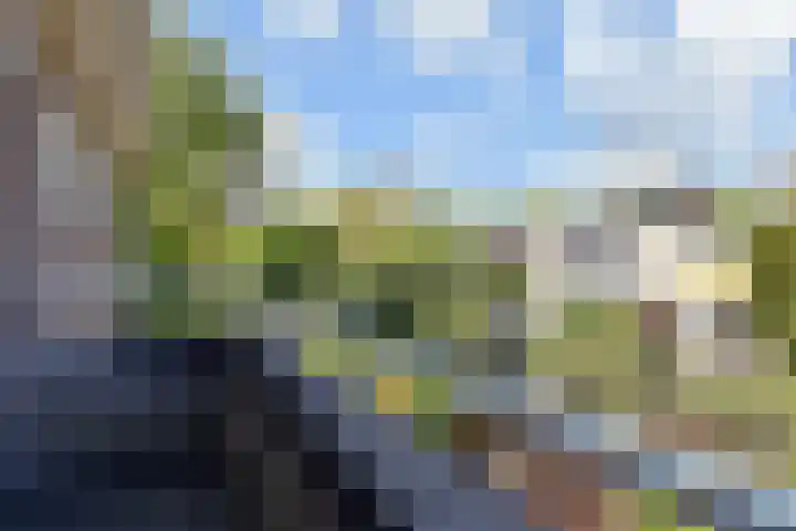 Dr Augustijnlaan 3 Rijswijk thumbnail 38