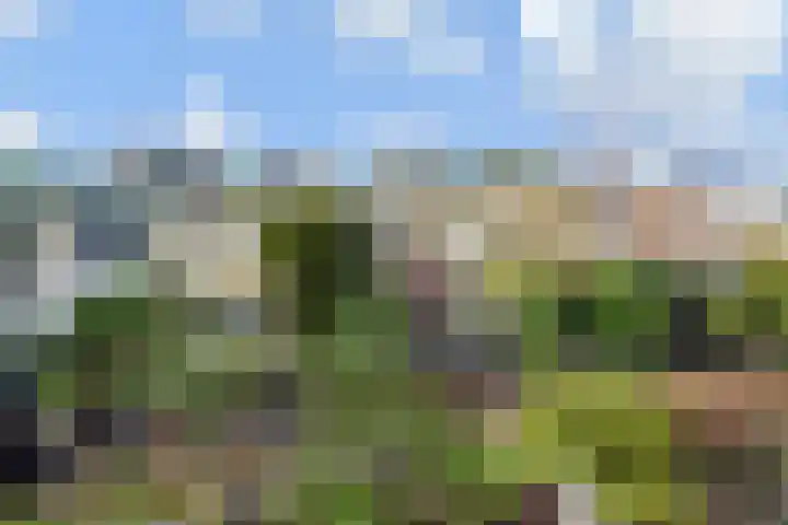 Dr Augustijnlaan 3 Rijswijk thumbnail 39