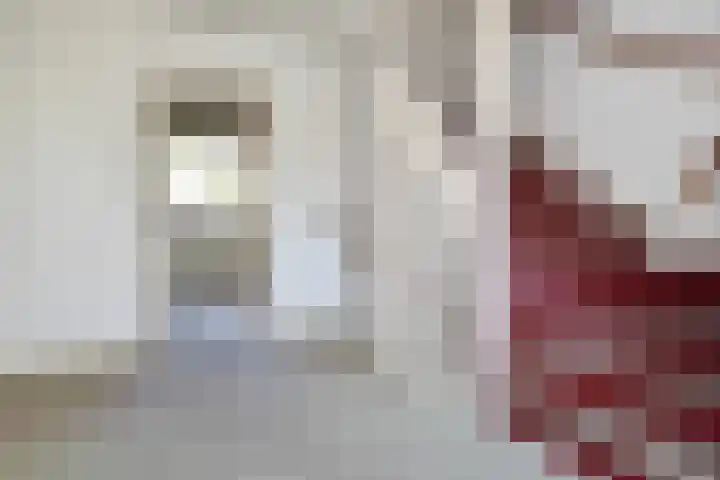 Dr Augustijnlaan 3 Rijswijk thumbnail 43