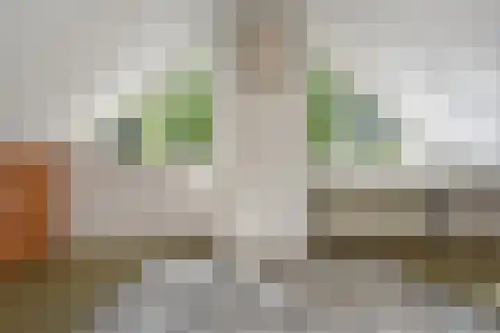 Dr Augustijnlaan 3 Rijswijk thumbnail 45
