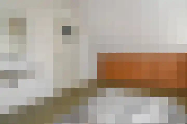 Dr Augustijnlaan 3 Rijswijk thumbnail 47
