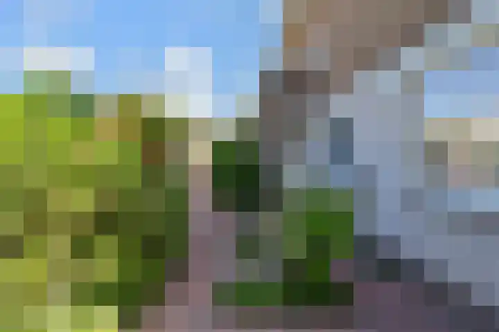 Dr Augustijnlaan 3 Rijswijk thumbnail 48