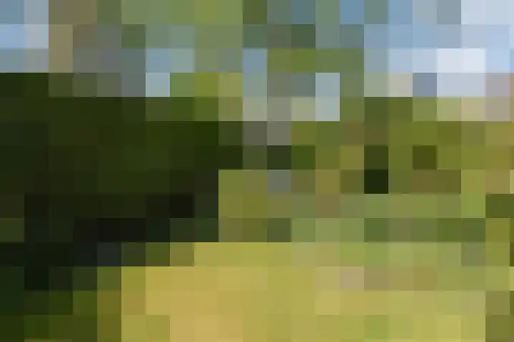 Dr Augustijnlaan 3 Rijswijk thumbnail 49