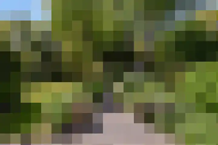 Dr Augustijnlaan 3 Rijswijk thumbnail 5