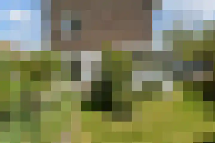 Dr Augustijnlaan 3 Rijswijk thumbnail 50