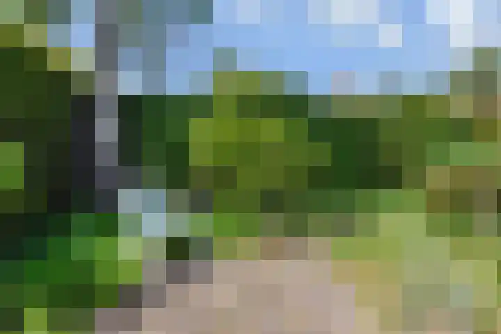 Dr Augustijnlaan 3 Rijswijk thumbnail 51