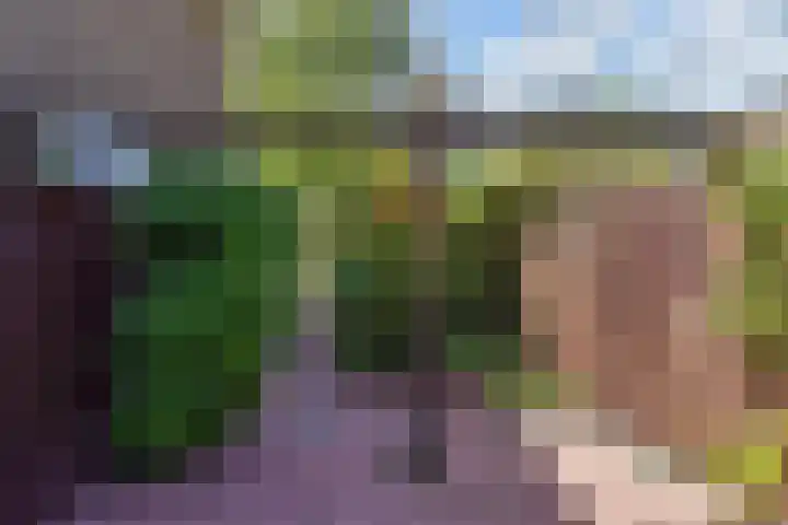 Dr Augustijnlaan 3 Rijswijk thumbnail 54