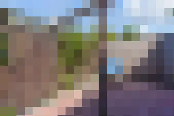 Dr Augustijnlaan 3 Rijswijk thumbnail 56