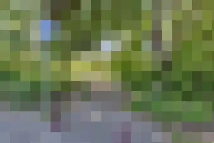 Dr Augustijnlaan 3 Rijswijk thumbnail 57