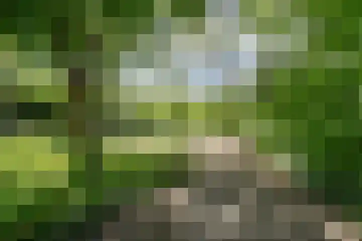 Dr Augustijnlaan 3 Rijswijk thumbnail 58