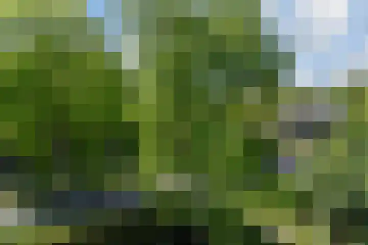 Dr Augustijnlaan 3 Rijswijk thumbnail 59