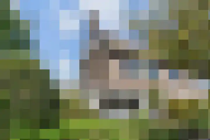 Dr Augustijnlaan 3 Rijswijk thumbnail 61