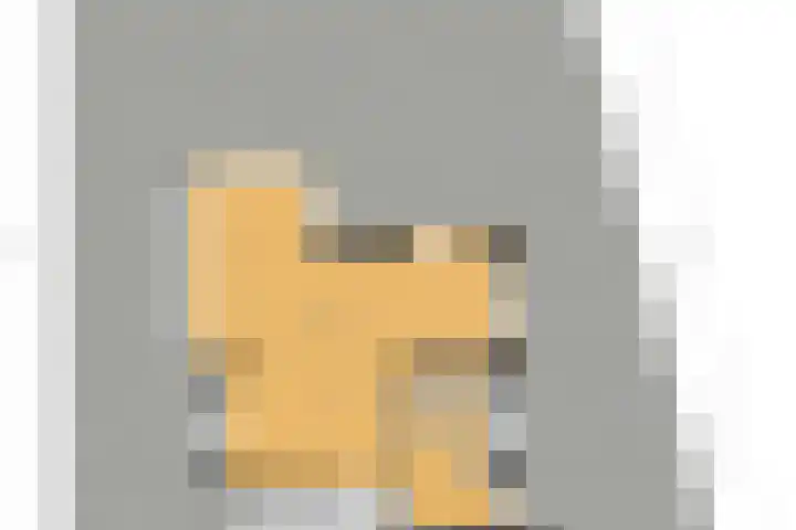 Dr Augustijnlaan 3 Rijswijk thumbnail 62