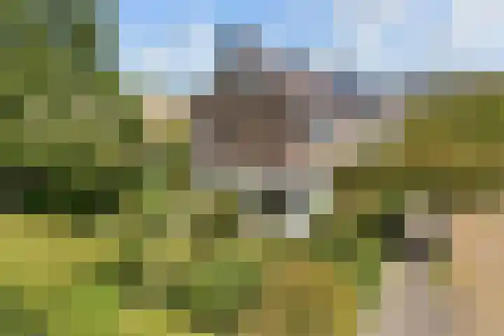Dr Augustijnlaan 3 Rijswijk thumbnail 7