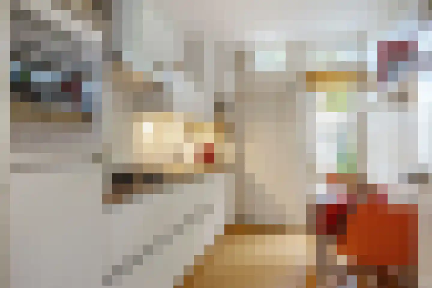 Dr Augustijnlaan 33 Rijswijk thumbnail 10