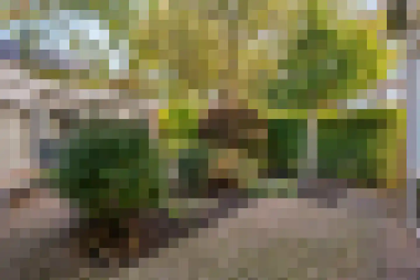Dr Augustijnlaan 33 Rijswijk thumbnail 17