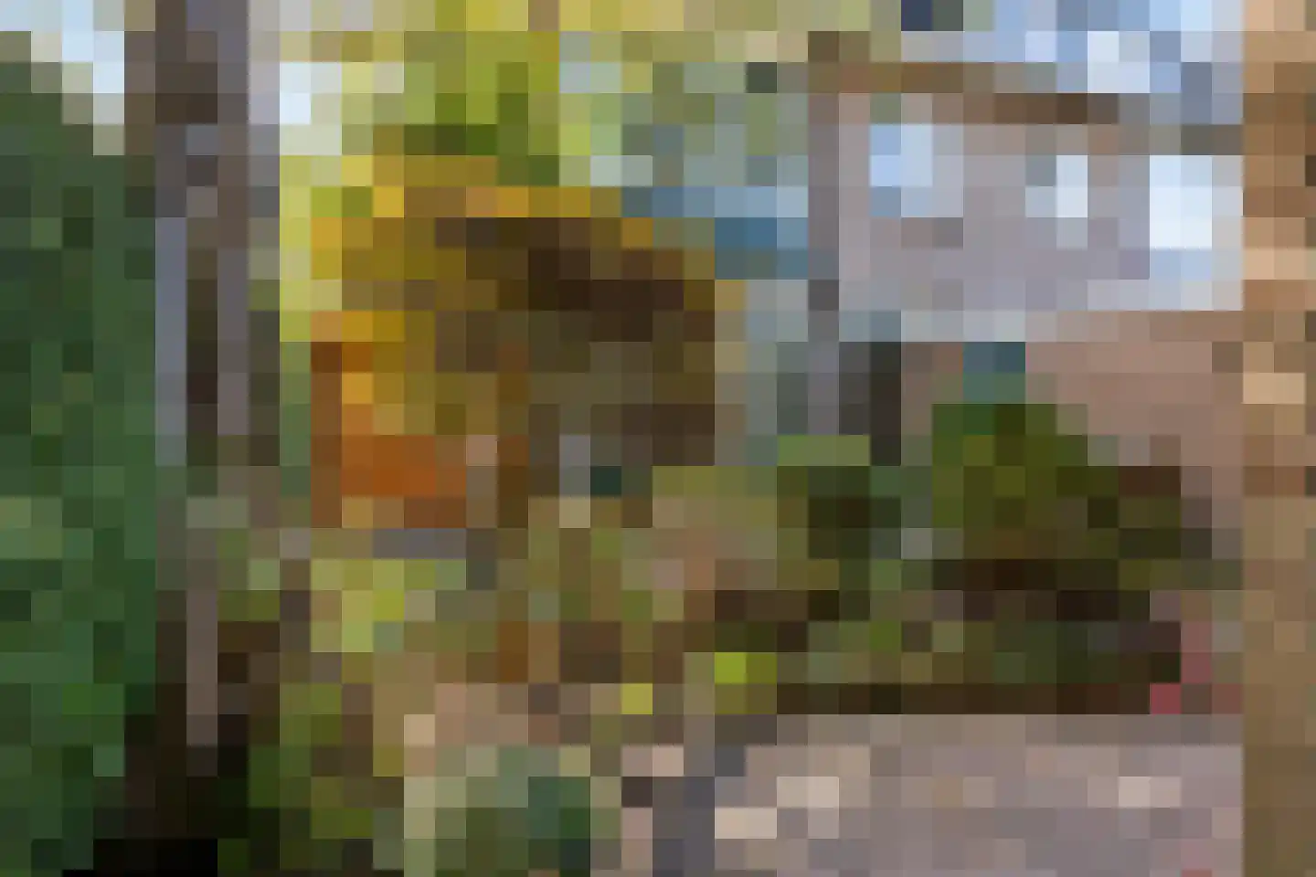 Dr Augustijnlaan 33 Rijswijk thumbnail 18