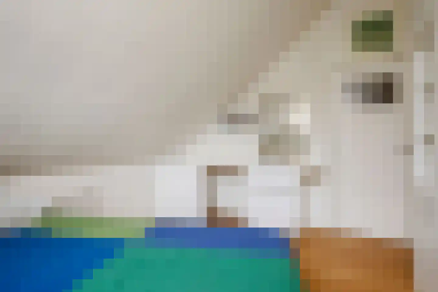 Dr Augustijnlaan 33 Rijswijk thumbnail 35
