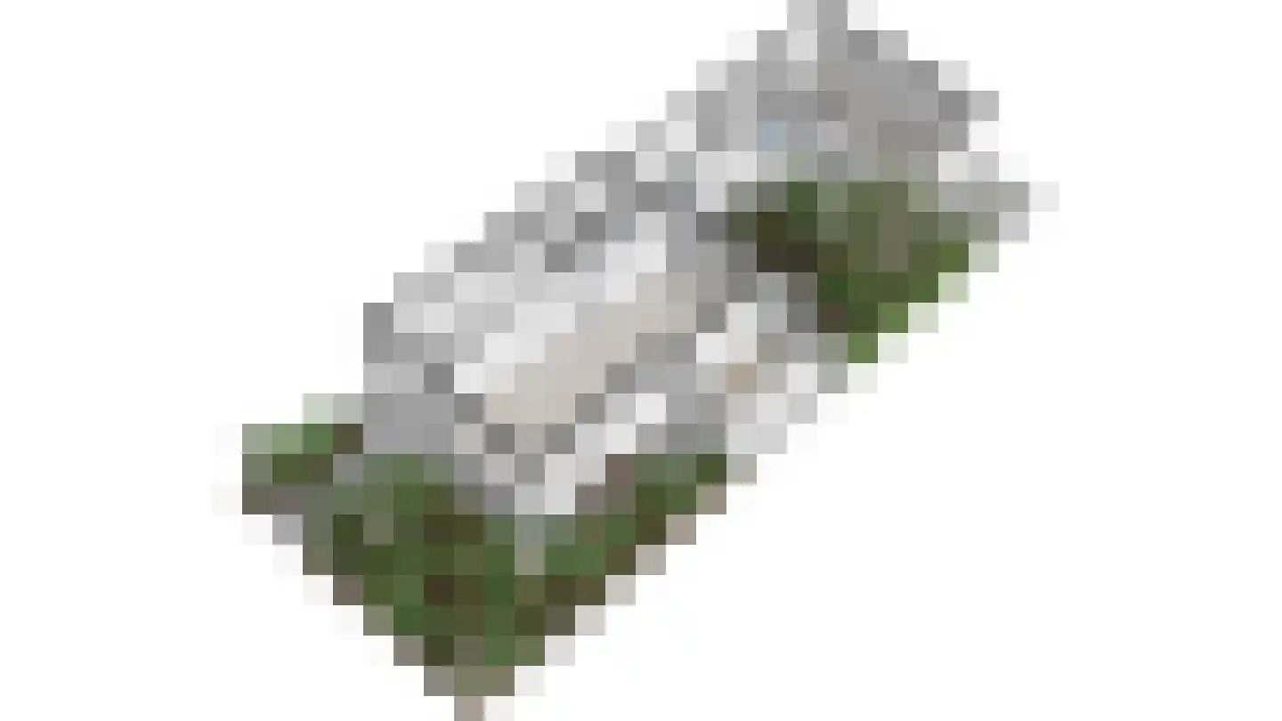 Dr Augustijnlaan 33 Rijswijk thumbnail 56