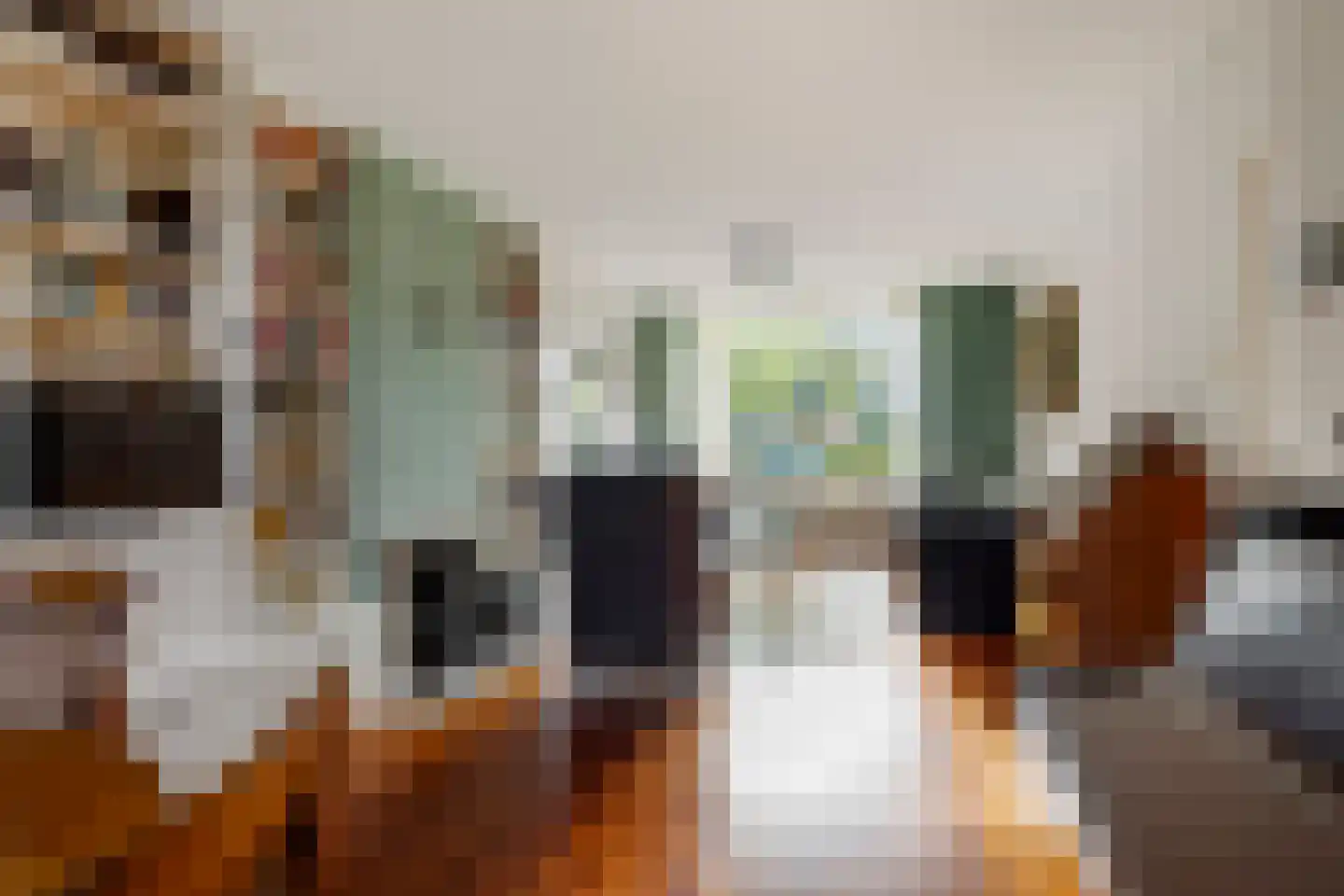 Dr Augustijnlaan 33 Rijswijk thumbnail 8